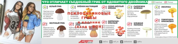 прущие грибы Алексин