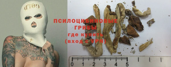 прущие грибы Алексин