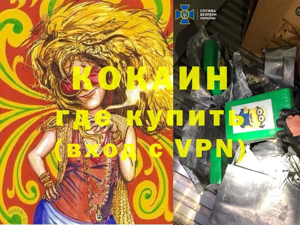 твердый Алзамай